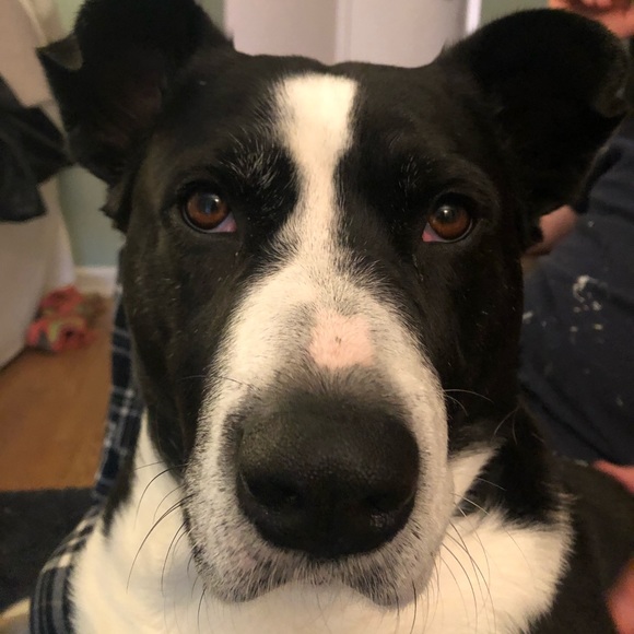 Meet your Posher, Lisa - Picture 1 of 1